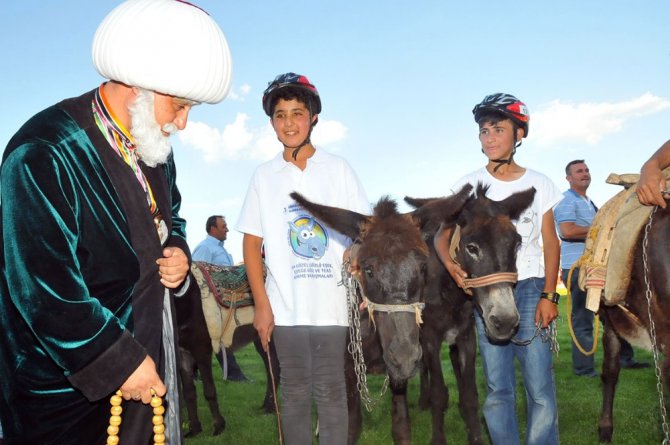 Eşekler birinci olabilmek yarıştı