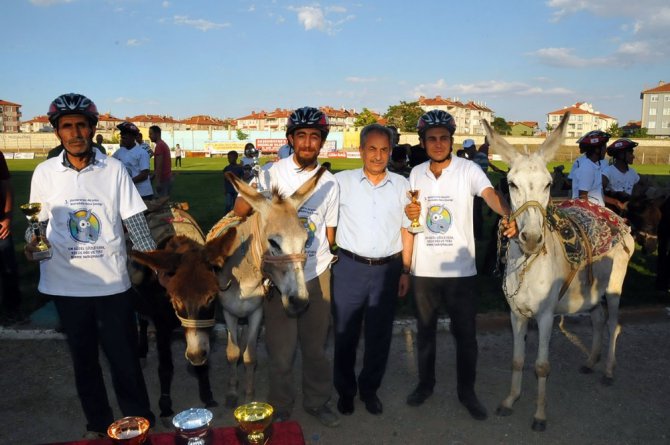 Eşekler birinci olabilmek yarıştı