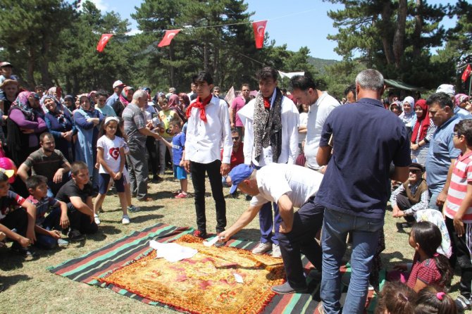 Beyşehir’de 16. Geleneksel Anamas-Dedegöl Kültür Şenlikleri yapıldı