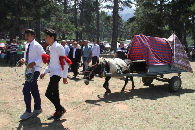 Beyşehir’de 16. Geleneksel Anamas-Dedegöl Kültür Şenlikleri yapıldı