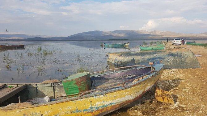 Göl suyu çekildi, yerini koyun sürüleri aldı