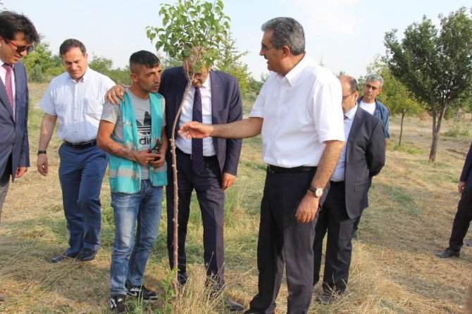 Konya Şeker’in Ağaçlandırma Projesi’ne bir destek de mahkumlardan geldi