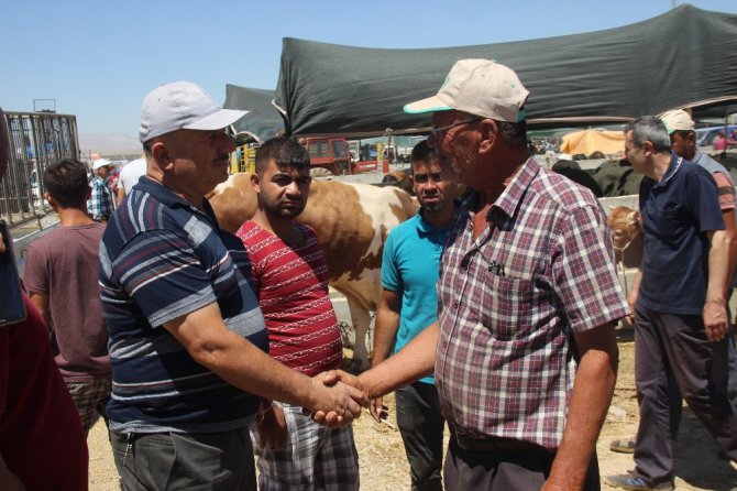 Konya’da kurban pazarının en büyüğü 2 tonluk siyah inci