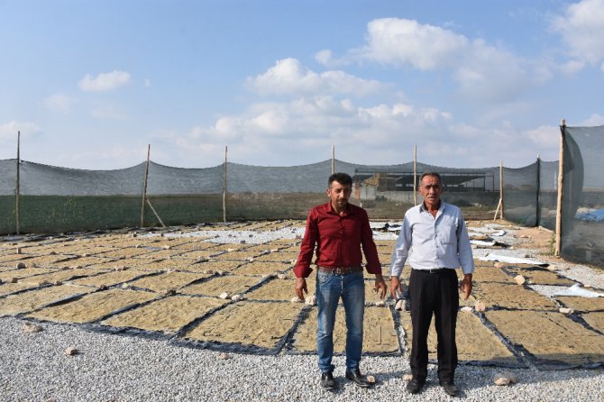 Anadolu’nun meşhur tarhanasından cips