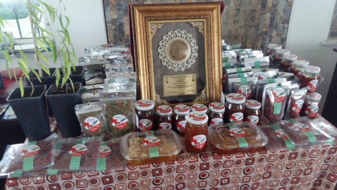 Aksaray’ın Oscar kalite ödüllü goji berry’si dünyaya ihraç ediliyor