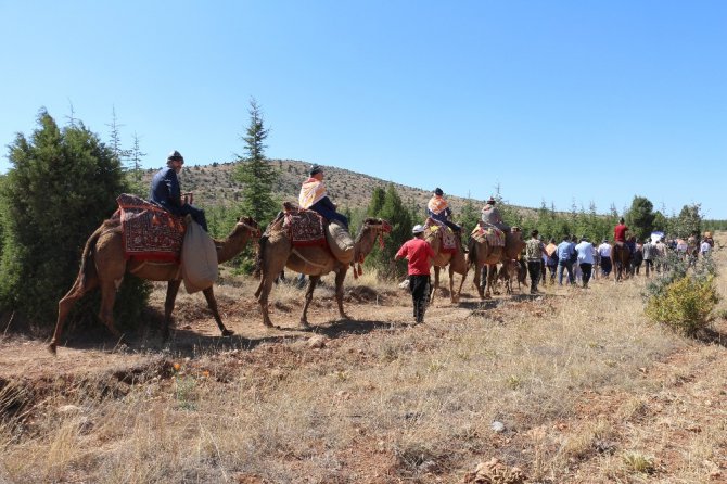 Tarihi ticaret kervanı develerle canlandırıldı