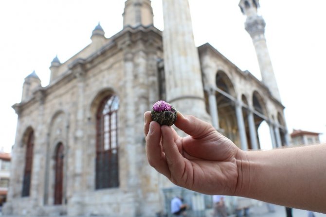 Sonbahar huzursuzluğuna karşı “Terapi Çayı”