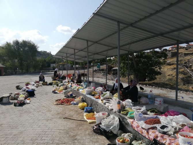 Alıç meyvesi Aksaray’da köylülerin sezonluk geçim kaynağı oldu