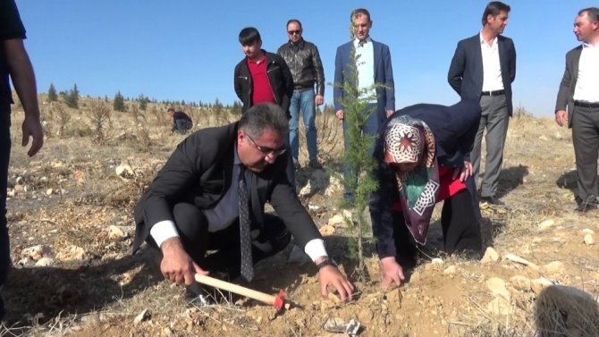 Ilgın, fidan dikimine 50 bin fidanla destek oldu