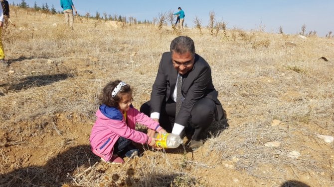 Ilgın, fidan dikimine 50 bin fidanla destek oldu