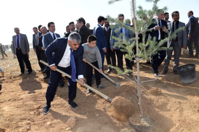 KOSKİ’den “Geleceğe Nefes” için 42 bin fidan