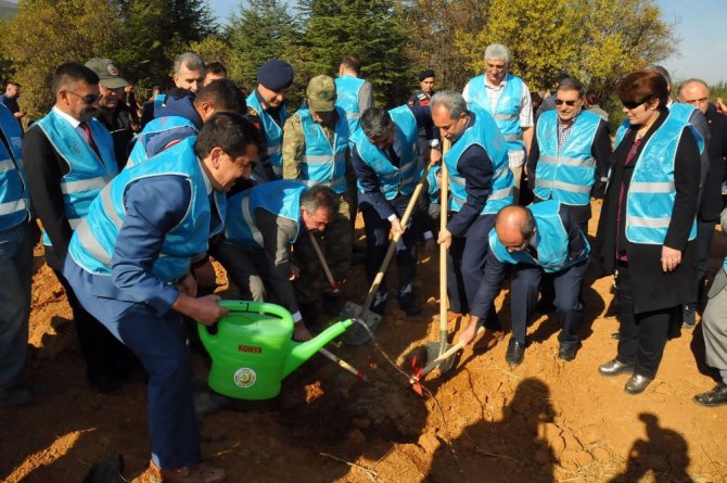 Akşehir’de ‘Geleceğe Nefes’ için bin 453 fidan