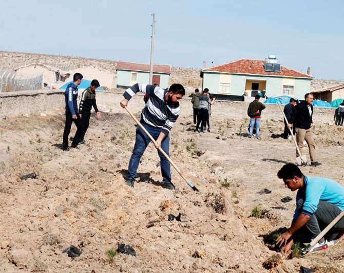 Çeltik’te fidanlar toprakla buluştu