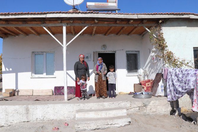 Tek geçim kaynağı olan inekleri çalındı