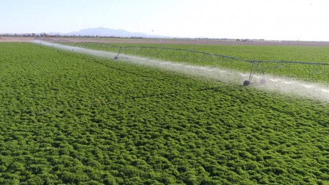 Aksaray’da 129 bin 500 dekar tarım arazisi sulandı