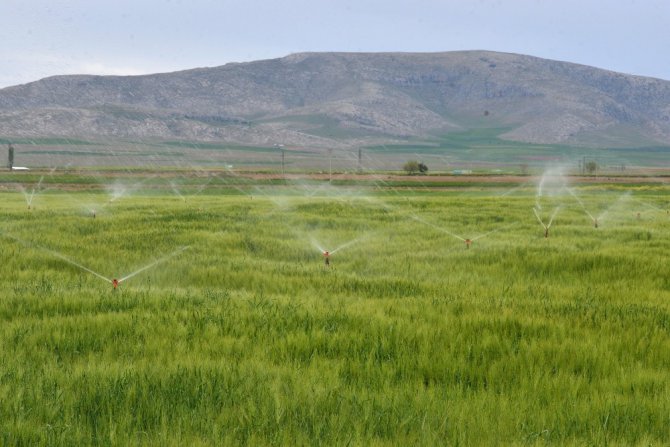 Aksaray’da 129 bin 500 dekar tarım arazisi sulandı