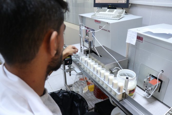 Analiz laboratuvarıyla sütün kalitesi arttırılırken, üreticilere 7,5 trilyon destek ödendi