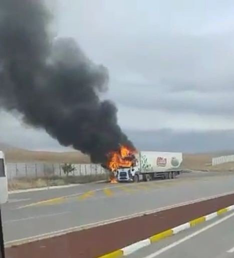 Seyir halindeki tır alev alev yandı
