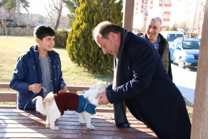 Ereğli Belediyesi sokak hayvanlarına kucak açıyor