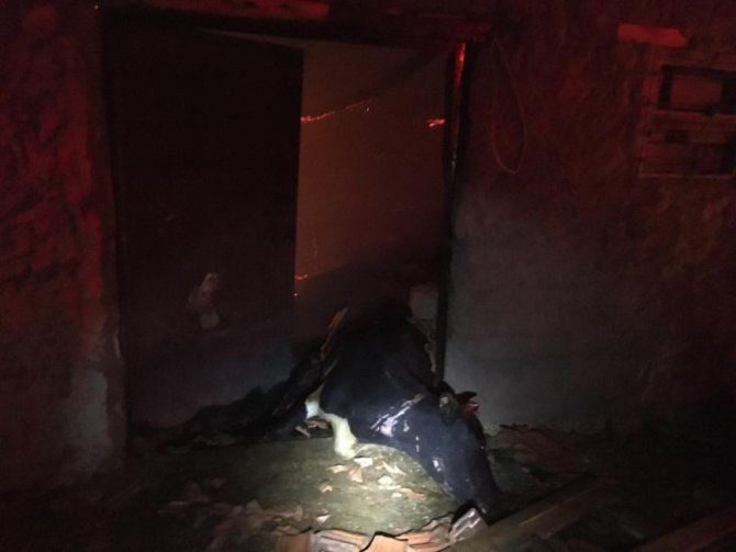 Konya’da ahır yandı, 240 hayvan telef oldu