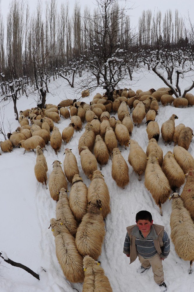 ‘Meram’da kış’ fotoğraf yarışması başladı