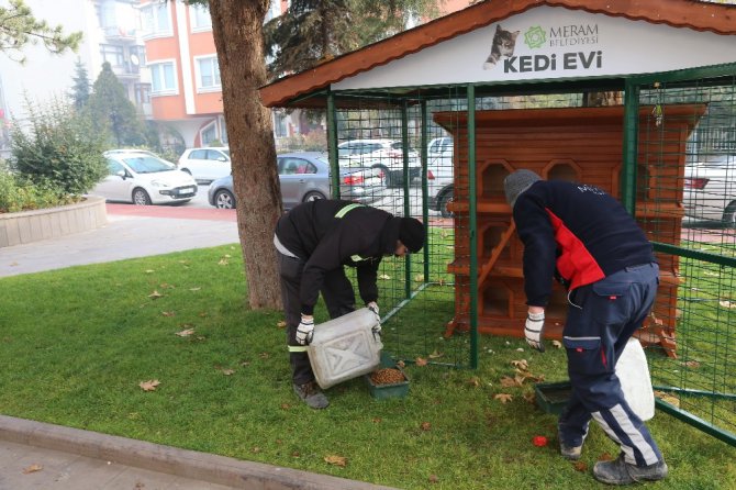 Meram Belediyesi, sokak hayvanları için çalışmalarını hızlandırdı