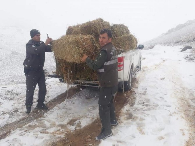 Aksaray’da yaban hayvanları için doğaya yem bırakılıyor