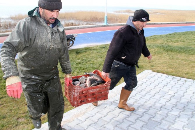 Göle serilen ağlar buz tuttu, balıkçıların mesaisi zorlaştı