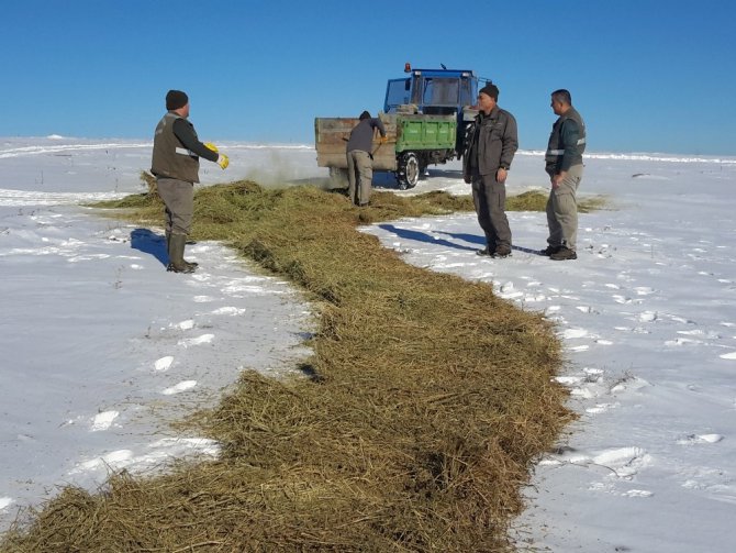 Konya’da yaban hayvanları için kar üzerine yem bırakıldı