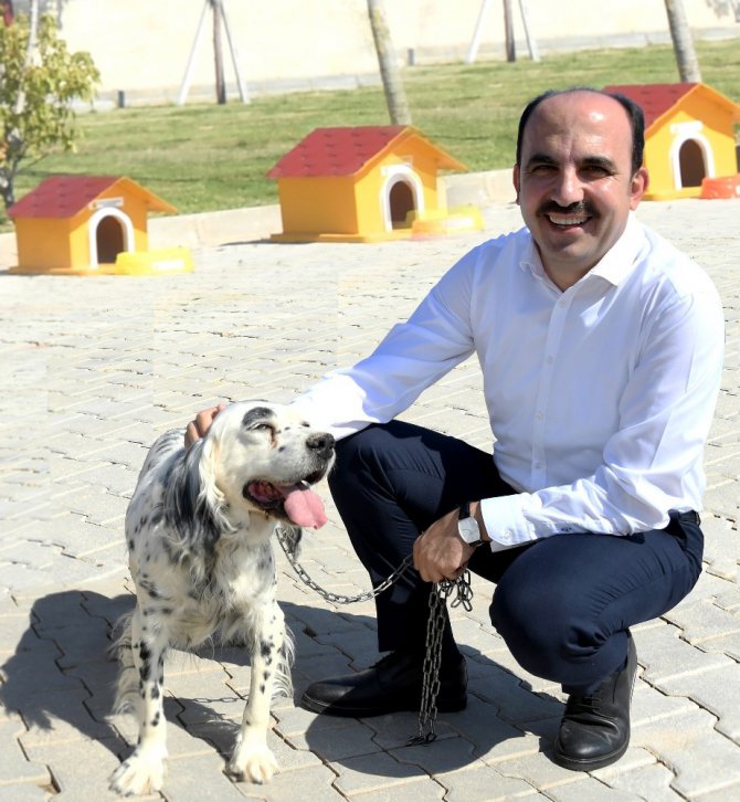 Konya’da “Gönüllü Hayvan Dostları Projesi” Türkiye’ye örnek oluyor