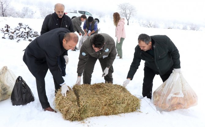 Aksaray’da yaban hayvanları için doğaya yem bırakıldı