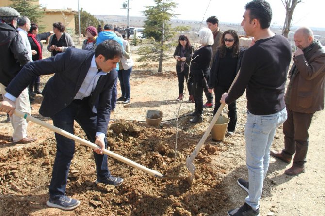 Müslüm Gürses’in ismi Şükran Köyü’nde dikilen çınar ve büstüyle yaşatılacak