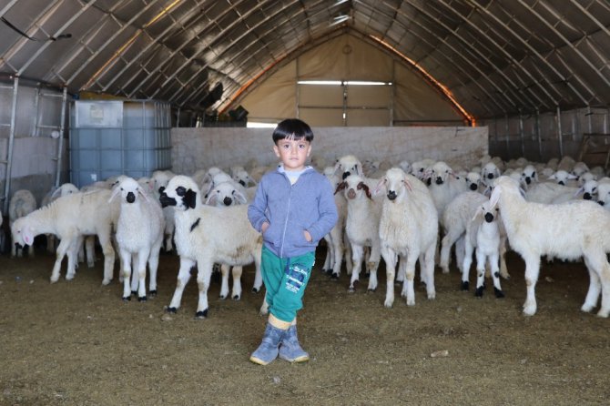 Tarım ve hayvancılık üretimi desteklemelerle 16 yılda yüzde 1023 arttı