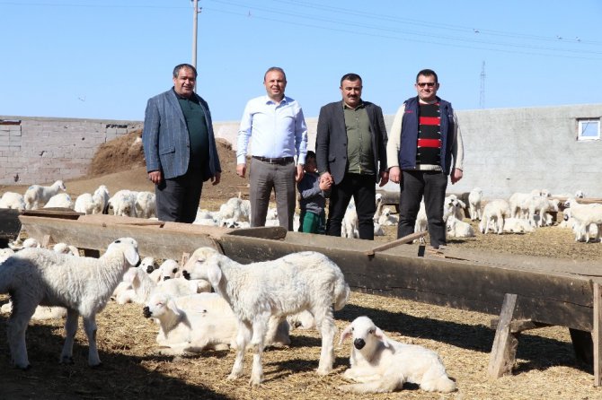 Tarım ve hayvancılık üretimi desteklemelerle 16 yılda yüzde 1023 arttı