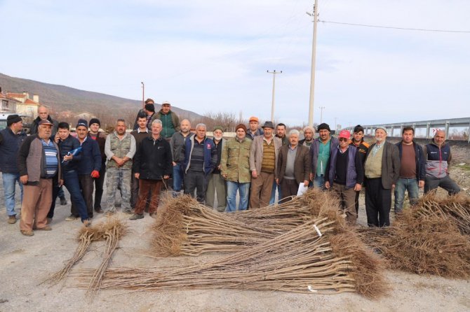 Büyükşehir’den çiftçiye fidan ve fide desteği