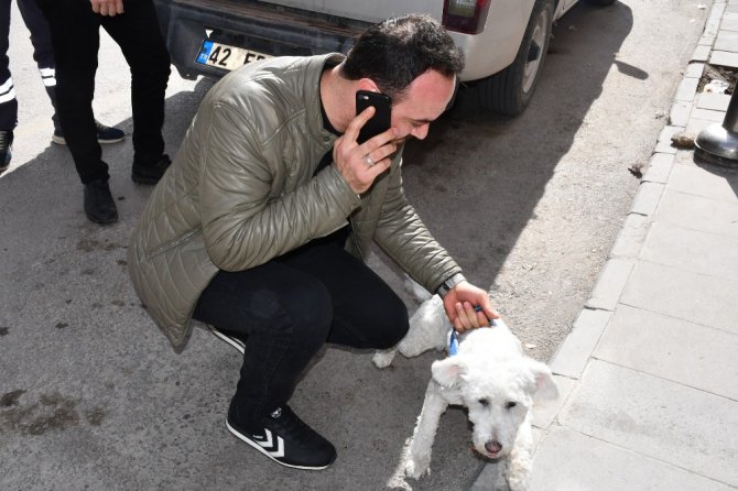 Balkonda mahsur kalan yavru köpeği itfaiye kurtardı