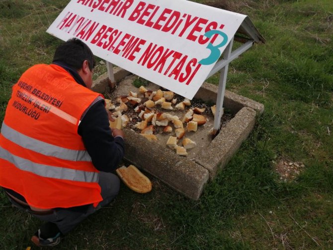 Akşehir Belediyesi maske ve eldiven dağıtımını sürdürüyor