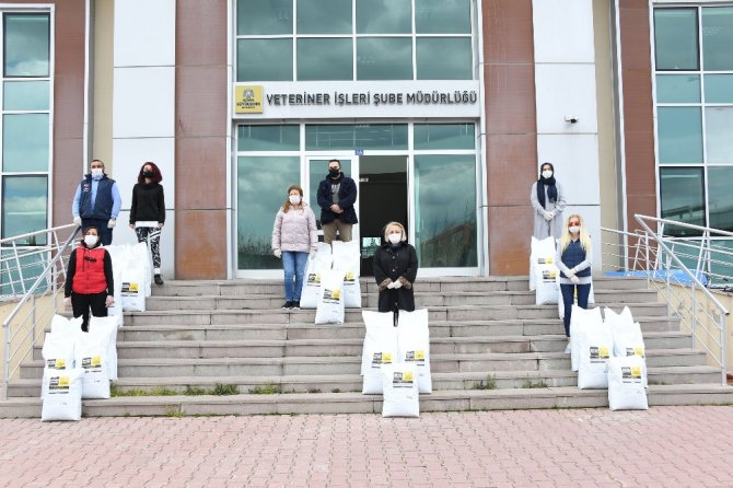 Konya’da sokak hayvanlarını beslemek için ek tedbir alındı