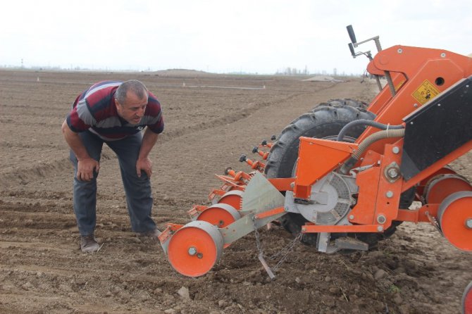 Çiftçiler tarlada havuç ekimi mesaisine başladı