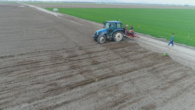 Çiftçiler tarlada havuç ekimi mesaisine başladı