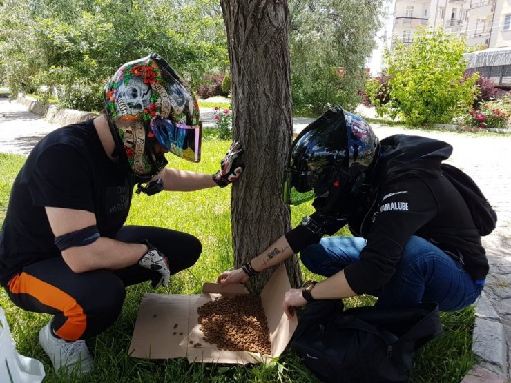 Aksaray Belediyesi hayvan severler gençlerin taleplerine sesiz kalmadı