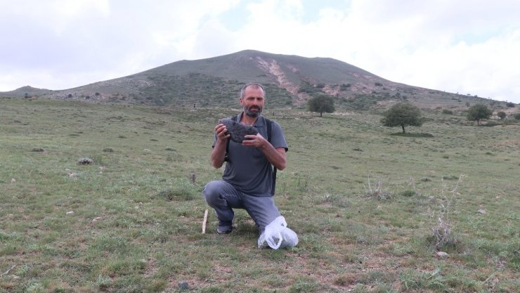 Adaçayı ve kekik toplarken göktaşı bulduğunu iddia etti