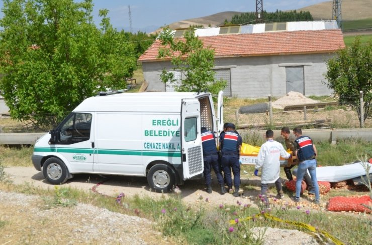 Şarampole devrilen tırın sürücüsü hayatını kaybetti