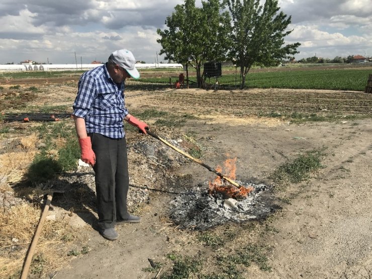 Konya’da 65 yaş üzeri vatandaşlar vaktini bahçesinde değerlendiriyor