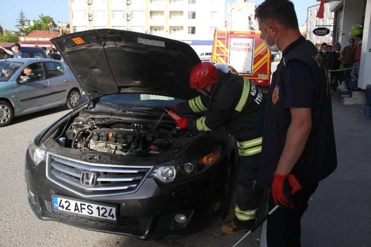 Park halindeki otomobile giren yılan paniğe yol açtı