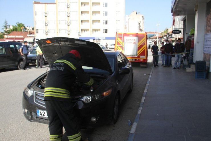 Park halindeki otomobile giren yılan paniğe yol açtı