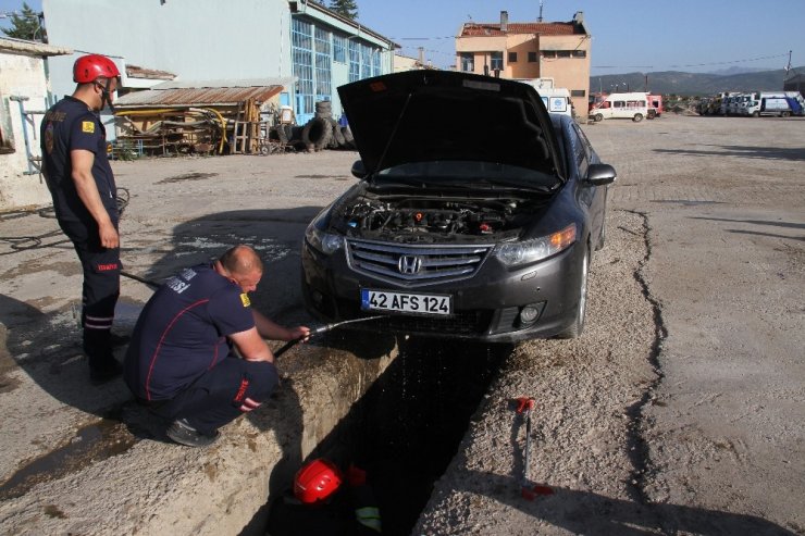 Park halindeki otomobile giren yılan paniğe yol açtı