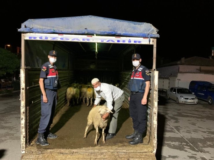 Konya’da 40 küçükbaş hayvanı çalan 7 şüpheli suçüstü yakalandı