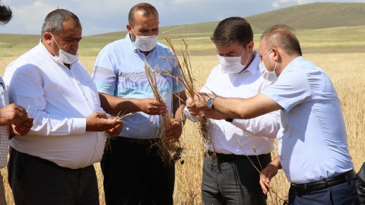 Aksaray’da dolu 70 bin dekar arazide hasara sebep oldu