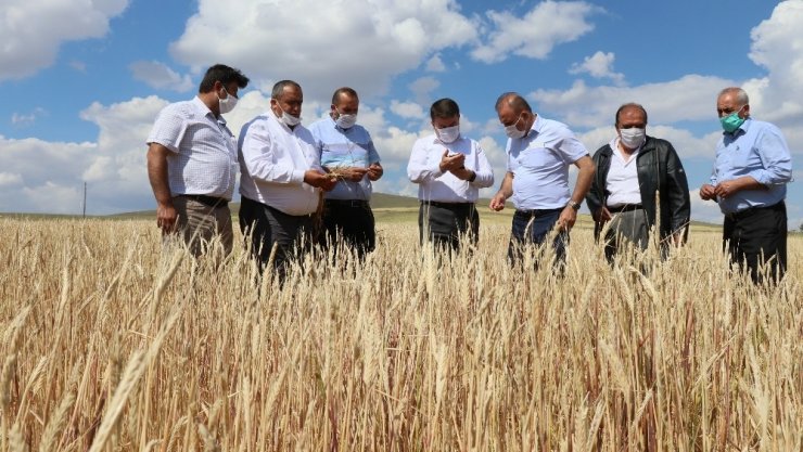 Aksaray’da dolu 70 bin dekar arazide hasara sebep oldu